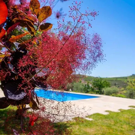 Nice Holiday In Carrazeda De Ansia With Private Terrace 펜션 *